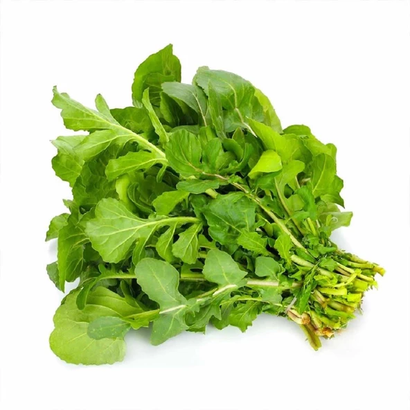 Roka Tohumu 10 gr Paket ürün görseli 1