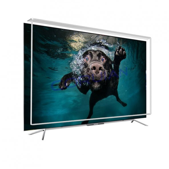 CORUIAN Grundig 58gcu8900 Tv Ekran Koruyucu / Ekran Koruma Paneli ürün görseli 1