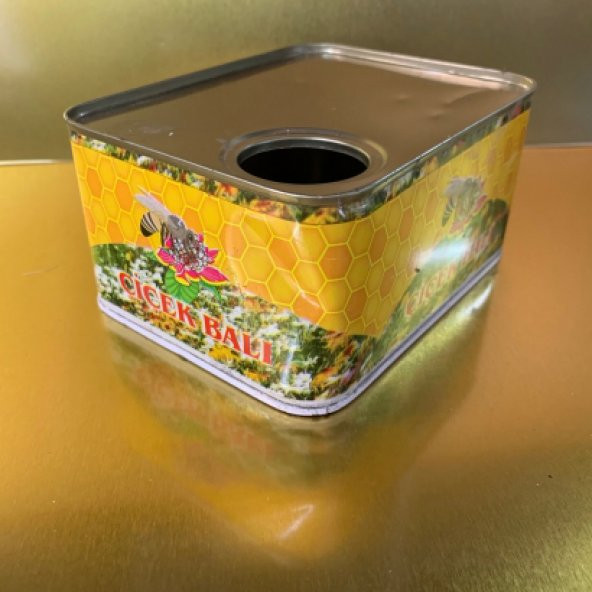 Bal Süzme Tenekesi 1 Kg ürün görseli 1