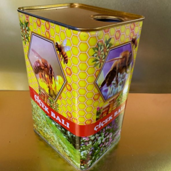 Süzme Bal Tenekesi 5 Kg ürün görseli 1