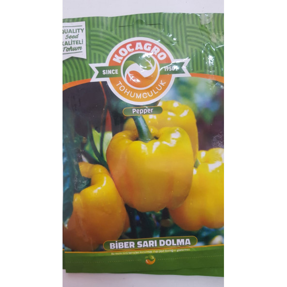 BİBER SARI DOLMA Tohumu 1 Paket %100 Yüksek Verimlidir. ürün görseli 1