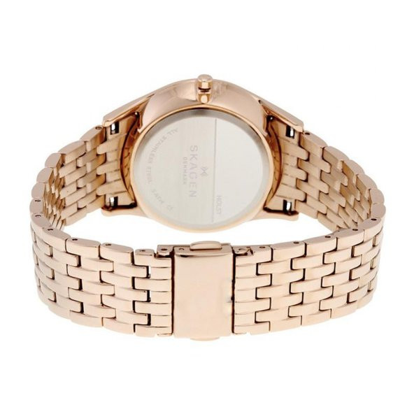 Skagen SKW2388 Bayan Kol Saati - Resim 3