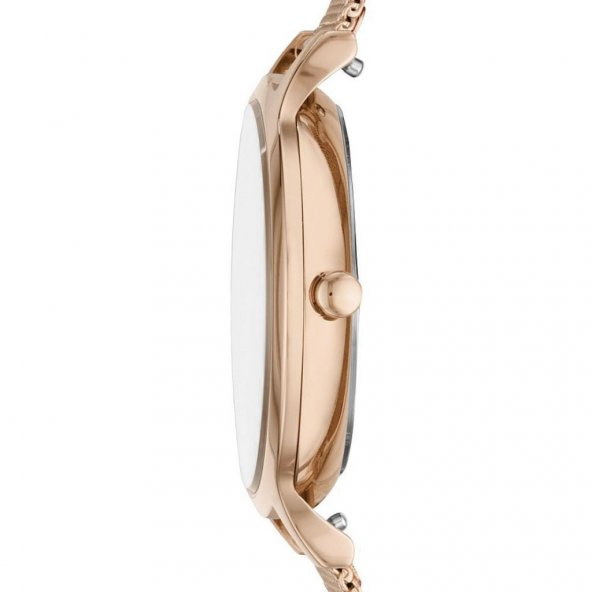 Skagen SKW2721 Bayan Kol Saati - Resim 2