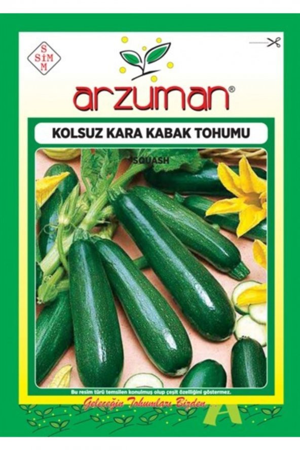 Siyah Kabak Tohumu 10 Gram ürün görseli 1
