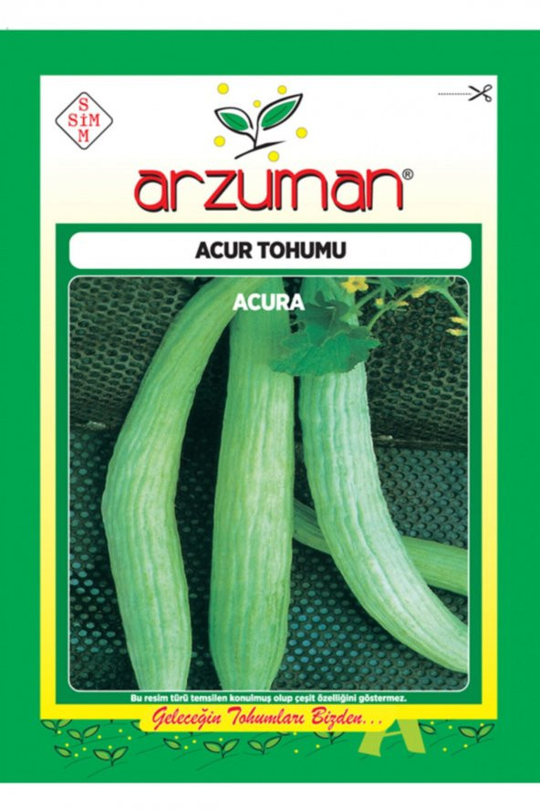 Acar Acur Tohumu 10 Gram ürün görseli 1