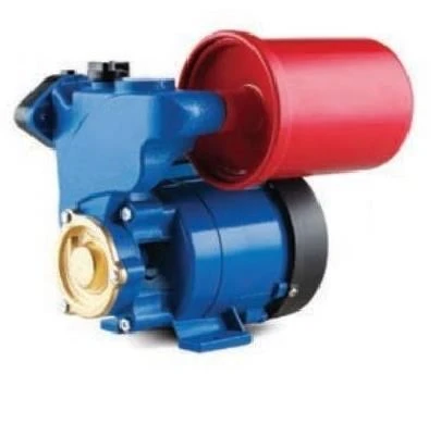Water WS-306 Otomatik Hidrofor Pompa GP125A ürün görseli 1