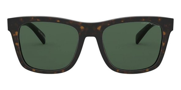 EA 4142 5089/71 55 Emporio Armani Polarize Güneş Gözlüğü ürün görseli 1