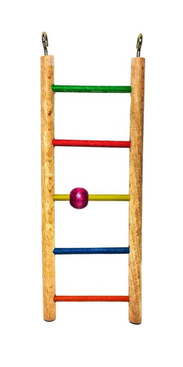 ANS Boncuklu Ahşap Merdiven Kuş Oyuncağı 23cm ürün görseli 1
