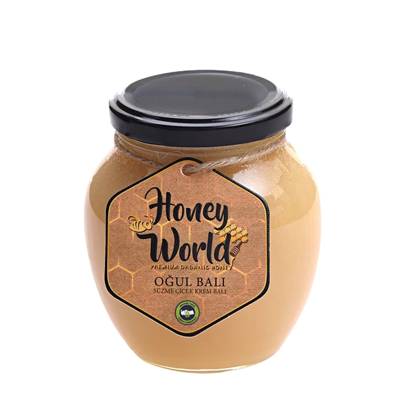 Honey World Organik Oğul Balı Süzme Çiçek Krem Balı 470 Gr ürün görseli 1