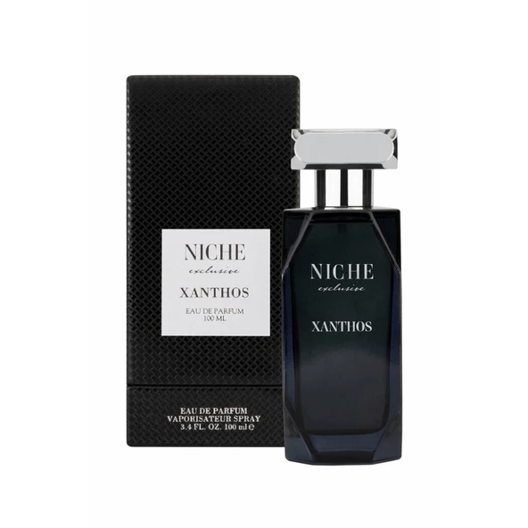 Niche Exclusive Xanthos EDP 100 ML Erkek Parfüm ürün görseli 1