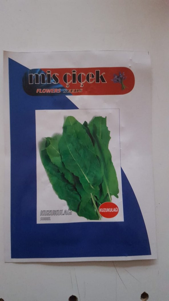 Mis Çiçek Pazı Tohumu Sebze Tohumlarımız Taze Ve 100 Yüksek Verimlidir. ürün görseli 1
