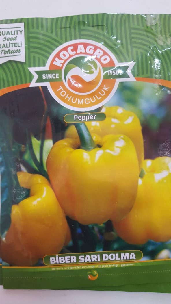 KOÇAĞRO BİBER SARI DOLMA Tohumu 1 Paket 100 Yüksek Verimlidir. ürün görseli 1
