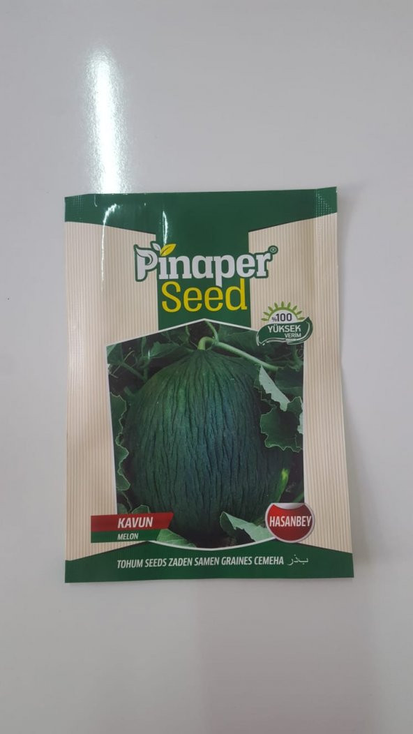 Pinaper Seed KAVUN HASAN BEY Tohumu 1 Paket 100 Yüksek Verimlidir. ürün görseli 1