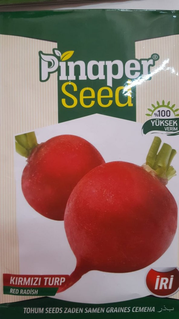 Pinaper Seed KIRMIZI TURP Tohumu 1 Paket 100 Yüksek Verimlidir. ürün görseli 1