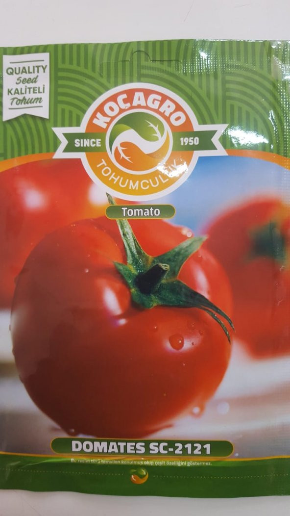 KOÇAĞRO DOMATES Tohumu 1 Paket 100 Yüksek Verimlidir. ürün görseli 1