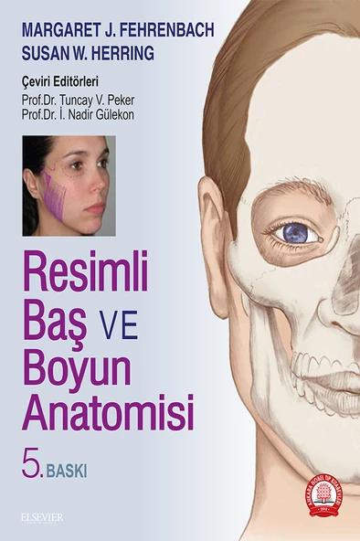 Resimli Baş ve Boyun Anatomisi ürün görseli 1