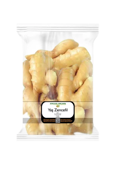 Taze Zencefil 500 Gr. Yaş Zencefil Yeni Mahsül Fresh Ginger Zencefil Taze 0,5 Kg. ürün görseli 1