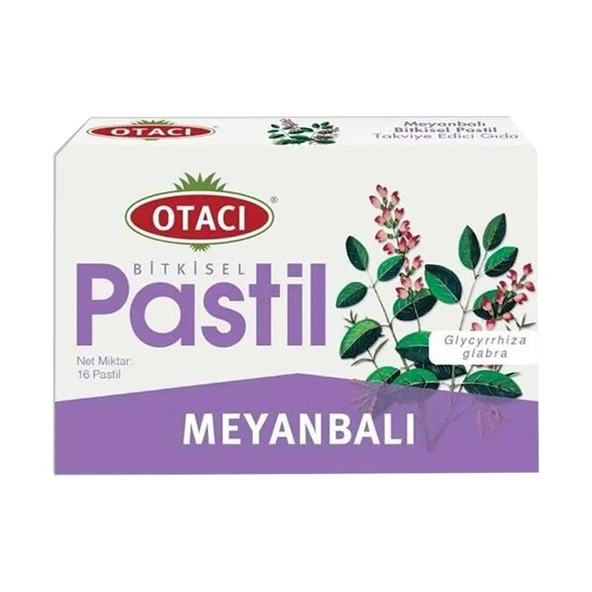 Meyanbalı Pastil 16 Adet