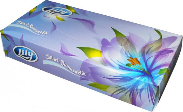 Lily Kutu Mendil 80 Yaprak x 5 Paket - Resim 2