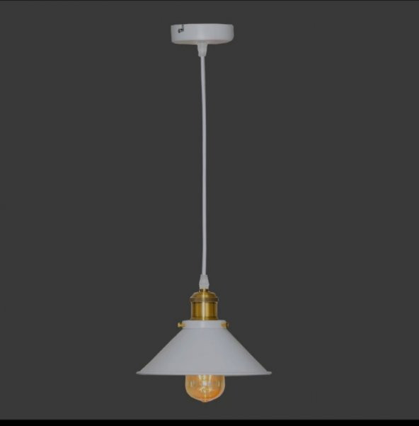 MYLİGHTS ETRO RUSTİK  MAT BEYAZ TEKLİ SARKIT AVİZE EN  22 CM ürün görseli 1