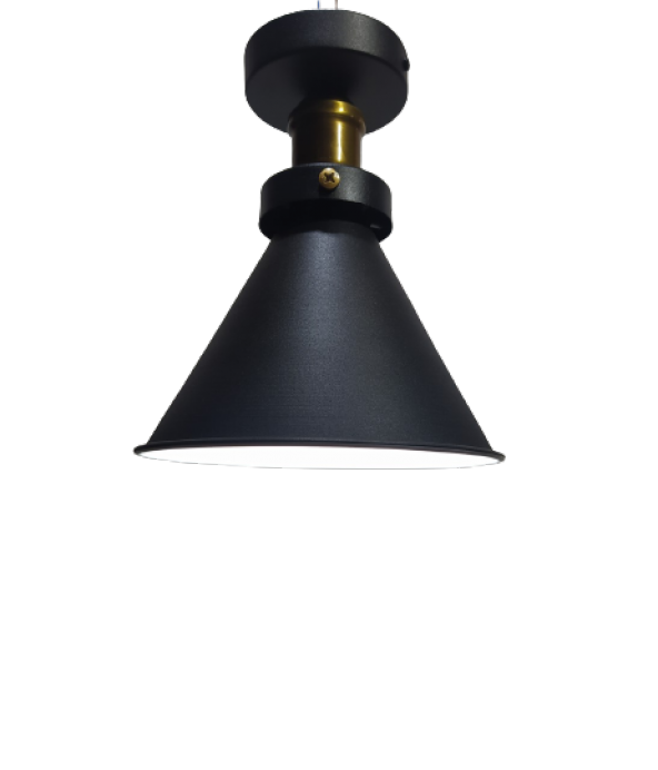MYLİGHTS  RETRO  PLOONYER TAVAN RUSTİK AVİZE SİYAH  İÇİ BEYAZ  18 CM EN ürün görseli 1