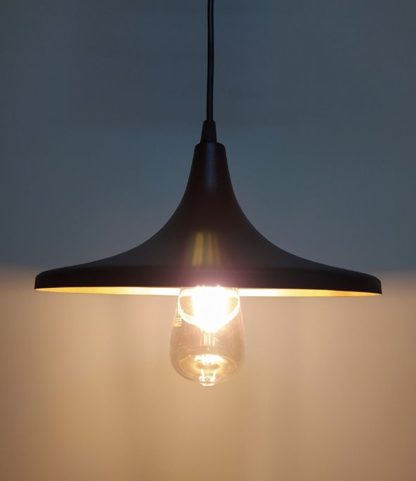 MYLİGHTS  RETRO RUSTİK METAL SARKIT AVİZE   27 CM EN - Resim 2