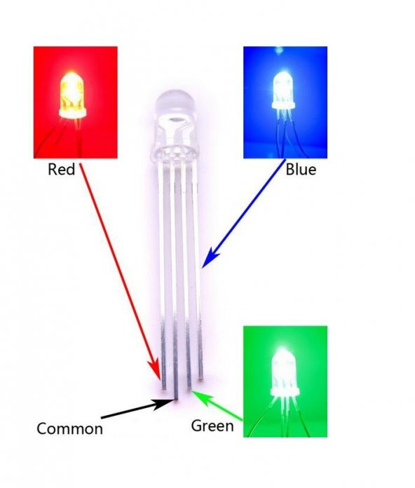 RGB Led 5mm Ortak Katot - Resim 2