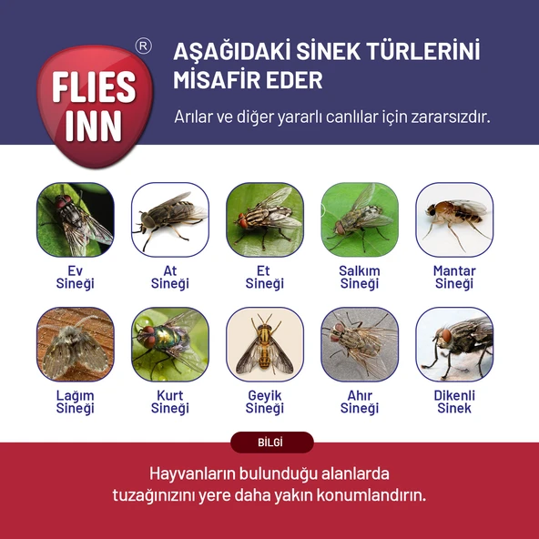 Flies inn Lite Karasinek Tuzağı - Resim 5