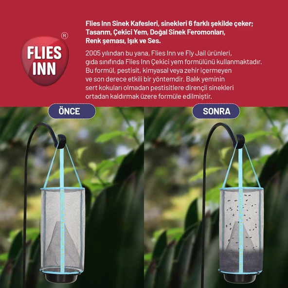 Flies inn Lite Karasinek Tuzağı - Resim 4