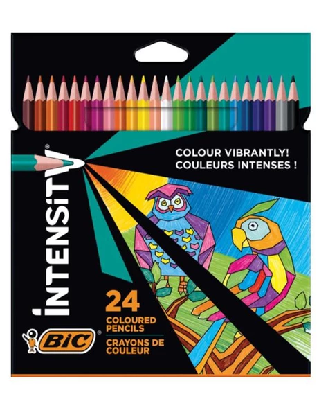 Bic İntensity Kuru Boya Kalemi 24 Renk ürün görseli 1