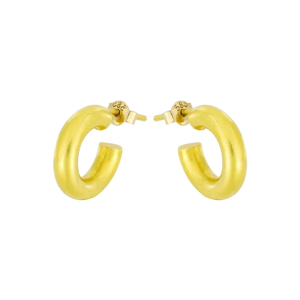Altın Küpe T014269 ürün görseli 1