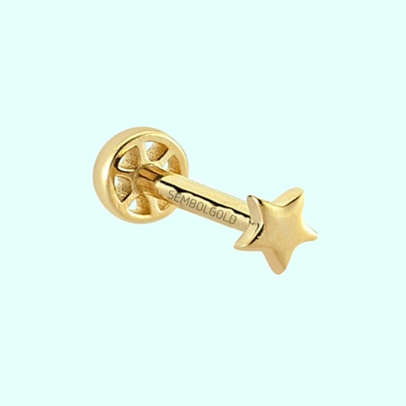 Altın Yıldız Tragus Piercing 14 Ayar ürün görseli 1