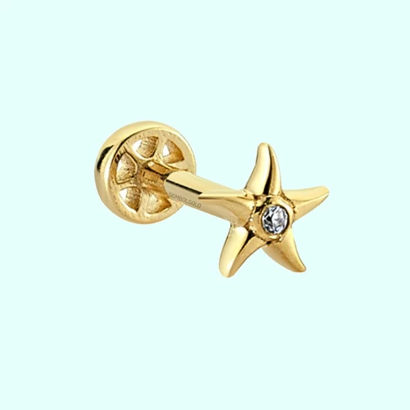 Altın Deniz Yıldız Tragus Piercing 14 Ayar ürün görseli 1