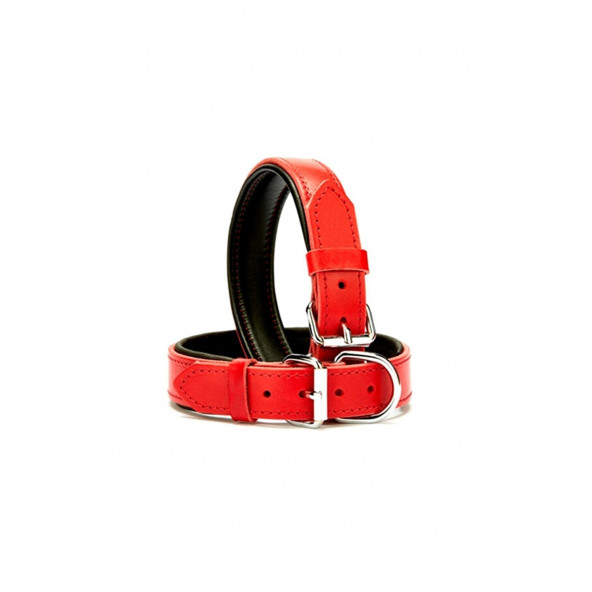 DESİNGSHOP Deri Köpek Tasması 2,5x56 Cm Kırmızı btm2026 ürün görseli 1