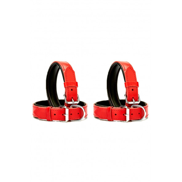 DESİNGSHOP 2li Deri Köpek Tasması 2,5x56 Cm Kırmızı dsg8847gt ürün görseli 1