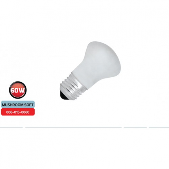 Horoz Halojen Mantar Tip  Buzlu Ampul Duy (60w) -(10lu paket) ürün görseli 1