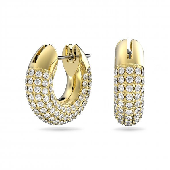 5636530 Swarovski Küpe Dextera:Pe Hoop Cry/Gos ürün görseli 1