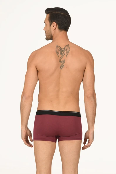 Bordo Hendrix Modal Boxer - Resim 2