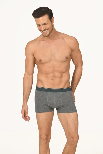 Gri Melanj Thin Line Boxer ürün görseli 1