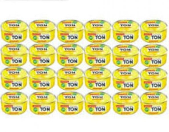 Dardanel Ekonomik Ton Balığı 24 x 75 G - Resim 2