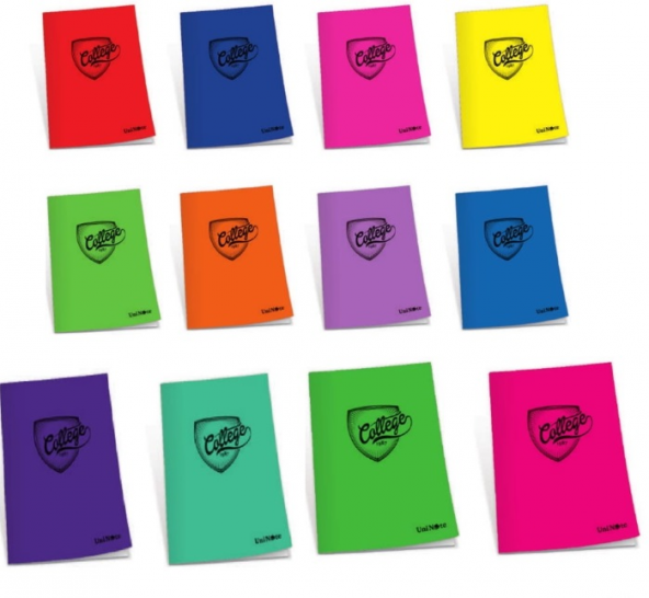 Çınar College Plastik Kapak A5 60Yp Kareli Defter ürün görseli 1