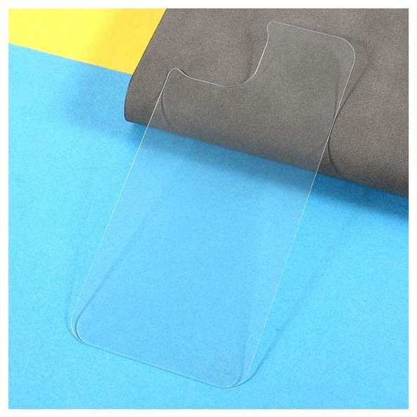 iPhone 13 Mini Maxi Glass Arka Temperli Cam Koruyucu - Resim 5