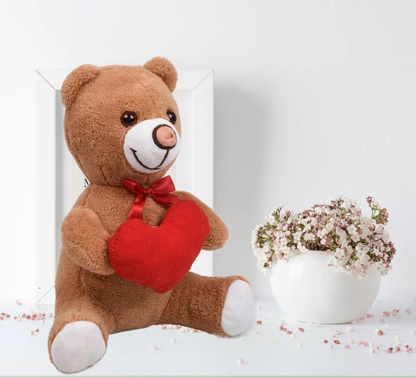 Sevdiklerinize Özel Kalp Tutan, Şirin Peluş Ayıcık - 30 cm ürün görseli 1