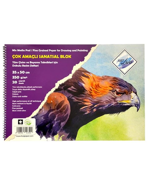 Art Liva Çok Amaçlı Resim Defteri 35x50 cm 350g ürün görseli 1