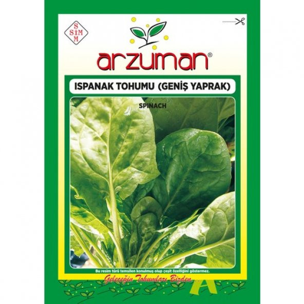 Arzuman (Ithal) Ispanak Tohumu 25 Gram ürün görseli 1