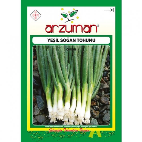 Arzuman Yeşil Soğan Tohumu 10 Gram ürün görseli 1