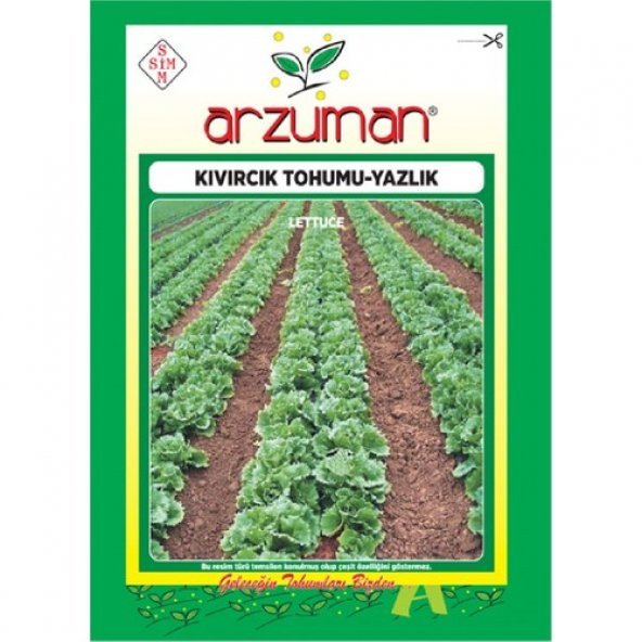 Arzuman Yazlık Marul - Kıvırcık Tohumu (10 Gr) ürün görseli 1