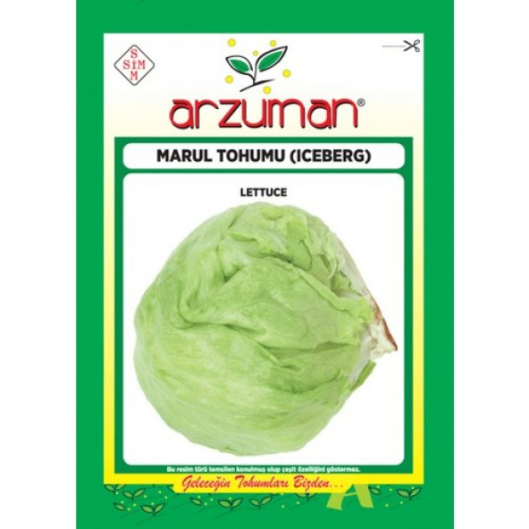 Arzuman Sebze Iceberg Marul Tohum 5 gr ürün görseli 1
