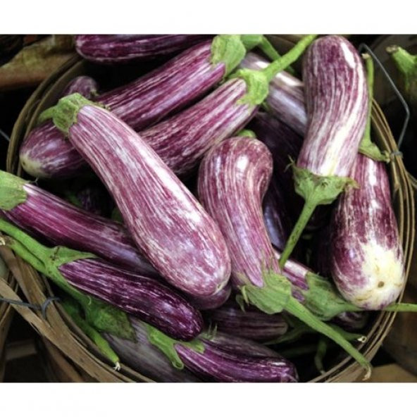 Arzuman Çizgili Alaca Patlıcan 5 Gram ürün görseli 1
