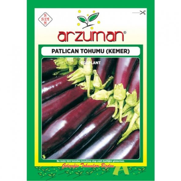 Arzuman Sebze Patlıcan Tohum Kemer 10 gr ürün görseli 1